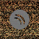 waveform preloader image