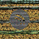 waveform preloader image