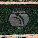 waveform preloader image