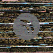 waveform preloader image