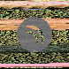 waveform preloader image