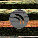 waveform preloader image