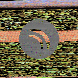 waveform preloader image