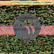 waveform preloader image