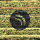 waveform preloader image