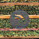 waveform preloader image