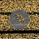 waveform preloader image