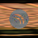 waveform preloader image
