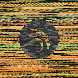 waveform preloader image