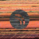 waveform preloader image