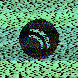 waveform preloader image