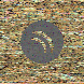 waveform preloader image