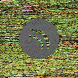 waveform preloader image