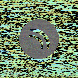 waveform preloader image
