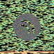 waveform preloader image