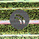 waveform preloader image