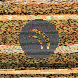 waveform preloader image