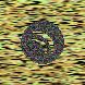waveform preloader image
