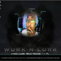 Live On Air by S.W.U.