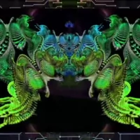 Mouse Hole T.V by The Mouse Hole T.V 24/7 Psytrance